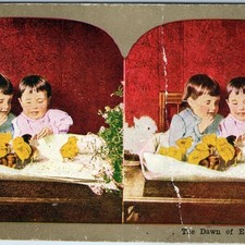 c1900 The Dawn of Easter Stereoview Card Children with Baby Chicks Rabbit Bunny picture