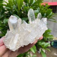 310G Natural clear white quartz crystal cluster mineral specimen healing picture
