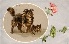 Mother dog with puppy The Popular Series c1900s-10s Vintage Postcard picture
