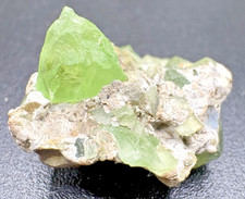 Natural Green Peridot Crystals in Matrix Mineral Specimen Afghanistan picture