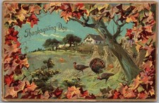 Vintage Tuck's THANKSGIVING Embossed Postcard Turkeys in Farm Field -1908 Cancel picture