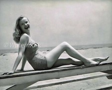 Anne Francis - celebrities - American Broadway actress - 8x10 PUBLICITY PHOTO picture