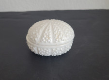 Vintage Sea Urchin Bone China Trinket Box With Tags  picture