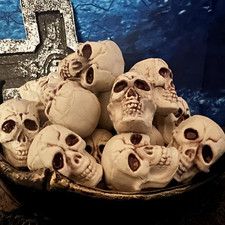 12pcs Skulls Human Head Skull Realistic Skeleton Skulls for Halloween Table Déco picture