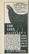1955 Sheppards Famous Ancona Hen White Flecked Money Maker Vintage Print Ad FJ1 picture