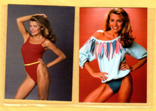 VANNA WHITE    CUSTOM  NOVELTY TRADING CARD 2 CARDS   SET picture