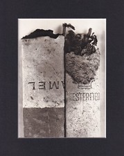 8X10 Matted Print Picture VTG Photo: Irving Penn, Cigarette No. 37, 1972 picture