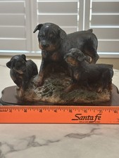 Female Rottweiler and two Pups picture