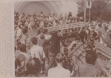 1968 Press Photo Hippies Protest the 1968 Democratic National Convention Chicago picture