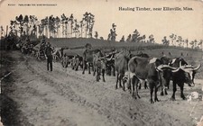Ellisville MS Jones County Mississippi timber industry Mill Vtg Postcard H39 picture