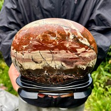 4LB Rare National Treasure Fossil - Authentic Collectible Stone Specimen picture