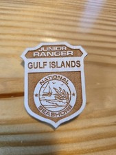 Gulf Islands National Seashore Junior Ranger Badge Jr Park Pin Wood  picture