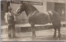 Vintage 1910s Real Photo RPPC Postcard Man with Very Large Horse / Street Scene picture