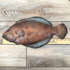 Vintage Large Chalk Ware Flounder Fish Wall Hanging Decor Imperfect picture
