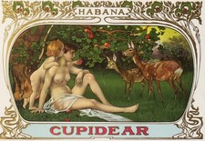 RARE ANTIQUE 1914 HABANA CIGAR CUPIDEAR ART NOUVEAU NUDE CIGAR BOX LABEL PRINT picture