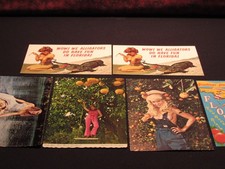 Florida Postcards 6 Total vintage girlie  postcards picture