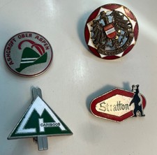 Vintage Mountain hat pins (lot of 4) picture