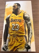 ENTERBAY LeBron James 1/9 Figure Lakers Motion Masterpiece SERIES 1 picture