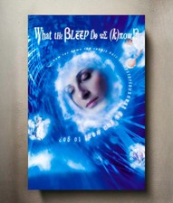 What the #$* Do We (K)now? 8x12 Metal Movie Poster Sign picture