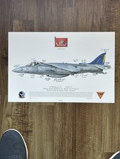 Multi-Signed AV-8B Harrier VMA-513 Nightmares 15+ Pilots Squadron Print USMC picture