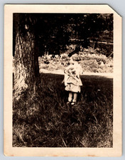 Puppy Dog Animal Pet Vintage Photograph Photo Picture picture