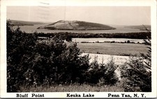 Real Photo Bluff Point Lake Keuka State Park Penn Yan New York A01 picture