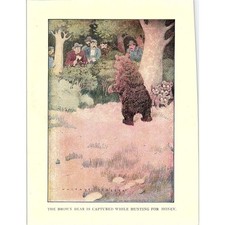 The Brown Bear is Captured While Hunting for Honey 1902 Engraving Plate AF4-H4 picture