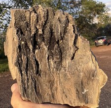 ☘️RR⛏️: Sparkly Dark Smoky Quartz From Fire Layer AZ. Petrified Wood 2 Lb. picture