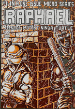 Raphael Teenage Mutant Ninja Turtle #1 Micro-Series 1st Casey Jones TMNT 1985 picture
