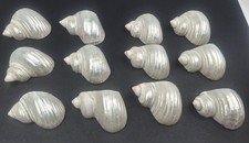 Vintage Set 12 Mother Of Pearl Conch Natural Sea Shell Napkin Rings Beach Party picture