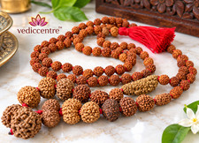Rudraksha Siddha Mala 1 Mukhi To 14 Mukhi Rudraksha Java Origin Lab Certified picture