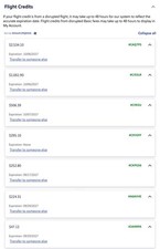 Southwest Airlines Transferable Flight Credit - Fast Transfer picture