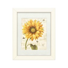 Trademark Fine Art Under The Sun I by Lisa Audit 11x14 Matte White Frame picture