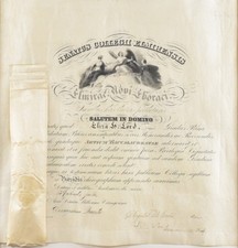 c1864 Antique A.B. Elmira College Diploma Certificate Eliza Hardy Lord picture