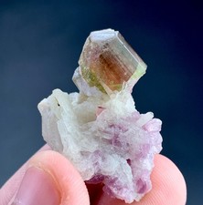51 Carat Bi-Colour Tourmaline Crystal Specimen From Afghanistan picture