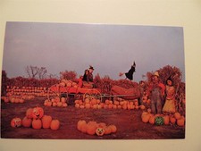 Van Riper's Farm Woodcliff Lake New Jersey vintage postcard pumpkin display 1960 picture
