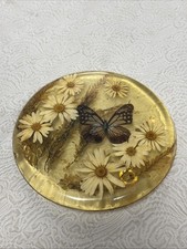 Vintage 1960s Mid-Century Modern Lucite Pressed Daisies/Butterfly Trivet picture