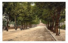 Cheltenham England Promenade Queen's Hotel Standard Postcard COPY RPPC picture