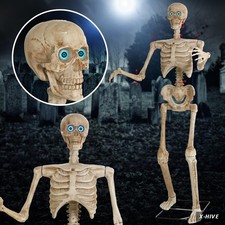 5.3 Ft Halloween Skeleton Decoration Skeleton Grim Animatronic Talking with Cree picture