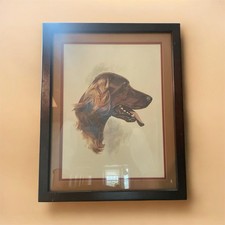 Vintage 1950s Labrador Sporting Art Print by Elliott - Framed Mid Century picture