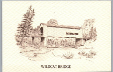 Wildcat Bridge Covered Bridge Over Wildcat Creek near Eugene Ohio Postcard picture