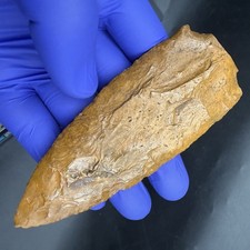 HIGE INDIAN SPEAR ARROWHEAD ARTIFACT FLORIDA GEORGIA 4.53” picture