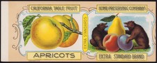 CALIFORNIA TABLE FRUIT-APRICOTS Home Preserving antique can label 1890s San Jose picture