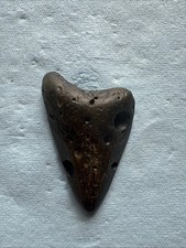 Megalodon Shark Tooth 3.69 inch Fossil NC #21A picture