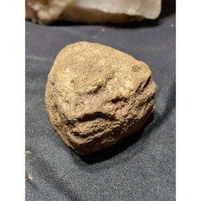 Fossilized Specimen Natural Form (6oz) picture