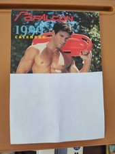 Vintage Falcon Studios 1999 Wall Calendar picture