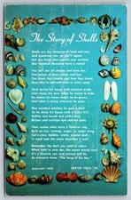 Vintage 1956 Dexter Press Postcard The Story of Shells Poem Seashells Art picture