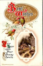 1910 Vintage John Winsch Beautiful Birds Best Wishes Antique Postcard BEAUTIFUL picture