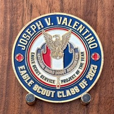 National Junior Firefighter Of The Year 2023-2024 Challenge Coin  W#30 picture