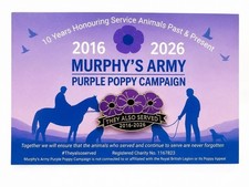 Bulk Purchase- 100 x Murphys Army  Purple Poppy 10th Anniversary-  Pin Badge 💜 picture